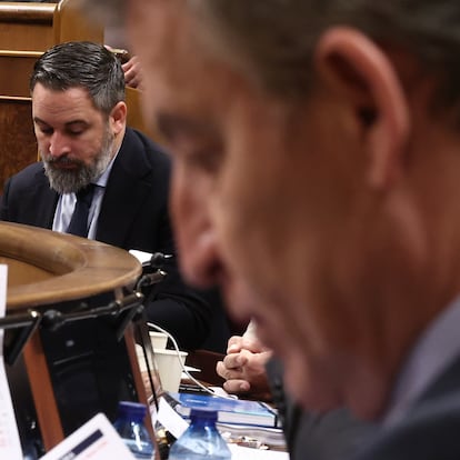 El líder de VOX, Santiago Abascal, y el del PP, Alberto Núñez Feijóo, en la bancada del Congreso, en marzo pasado. Feijóo propone un visado por puntos para inmigrantes condicionado a trabajos donde “falta mano de obra” y con una “cultura” próxima.