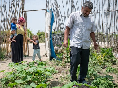 La familia siria Husso, en el pequeño cultivo que tienen junto a la tienda en la que viven, en la localidad turca de Adana, el 2 de junio.
