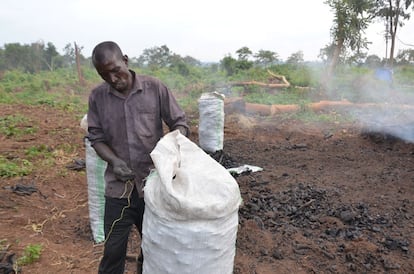 Quema de carbón en el distrito de Angagura Pader, en el norte de Uganda.