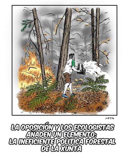 La oposición y los ecologista añaden un elemento: la ineficiente politica forestal de la Xunta.
