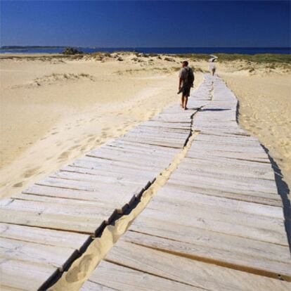 Una pasarela de madera atraviesa el parque natural del complejo dunar de Corrubedo, un espacio protegido de 996 hectáreas, en el municipio coruñés de Ribeira.