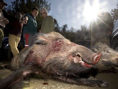 Los cazadores defienden la carne de caza por &ldquo;ecol&oacute;gica y natural&rdquo;. 