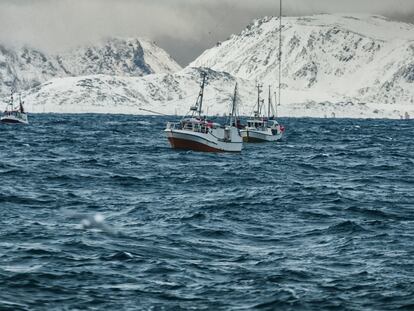 Barcos de pesca de skrei en aguas del mar de Barents, cerca de las costas de Noruega.