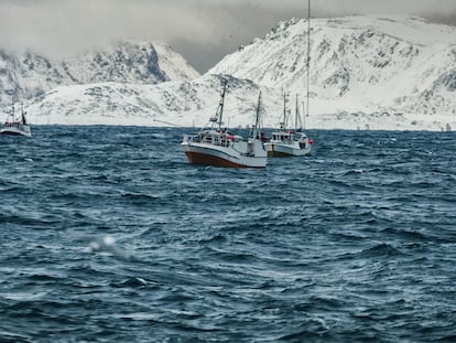 Barcos de pesca de skrei en aguas del mar de Barents, cerca de las costas de Noruega.
