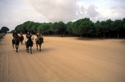 Excursionistas el entorno de Doñana.