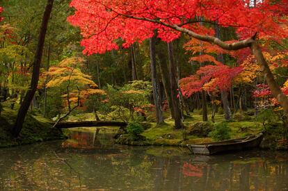 Estampa otoñal en el jardín de Saiho-ji, en Kioto (Japón).