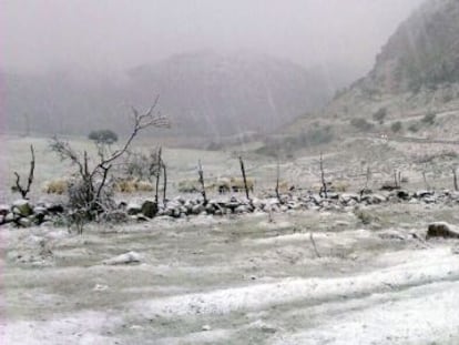 Entorno de Villaluenga del Rosario, el pasado enero.