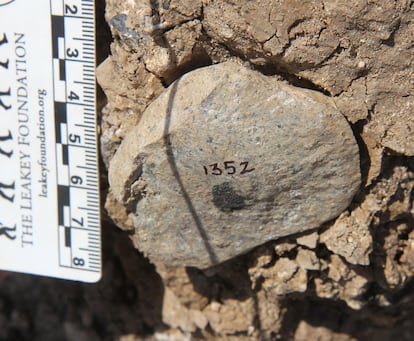 This photo provided by the Homa Peninsula Paleoanthropology Project shows an Oldowan flake at the Nyayanga site in southwestern Kenya in 2017.