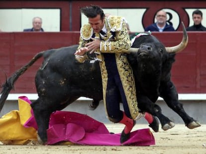 Bullfighter David Mora is gored in the ring on Tuesday in Las Ventas.