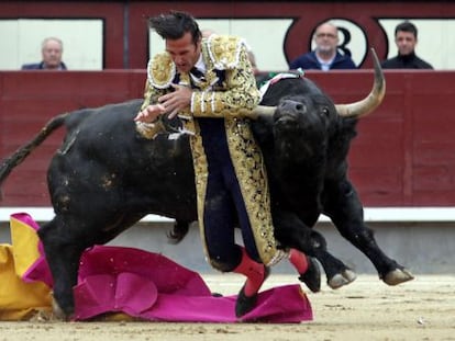 El torero David Mora es corneado por el primer toro en las Ventas.