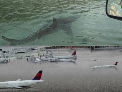 Arriba, un montaje de un tibur&oacute;n una autopista en Houston. Abajo, la supuesta inundaci&oacute;n del aeropuerto.