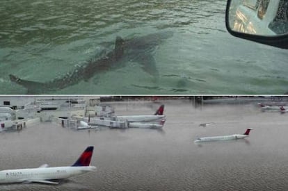 Arriba, un montaje de un tibur&oacute;n una autopista en Houston. Abajo, la supuesta inundaci&oacute;n del aeropuerto.