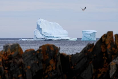Un iceberg flota en las costas de Ferryland, Canadá.