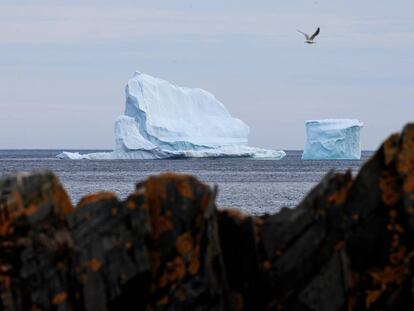 Un iceberg flota en las costas de Ferryland, Canadá.