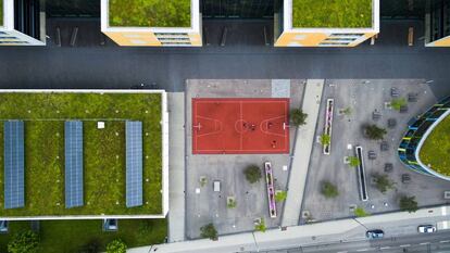 Las soluciones basadas en la naturaleza son una de las principales oportunidades para revertir los efectos del cambio climático desde las ciudades.