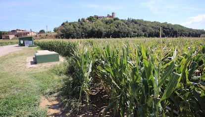 Camps des d'on suposadament es va filtrar l'aigua.