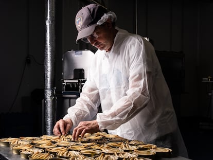 Abel Álvarez prepara latas de navajas en la conservera de Güeyu Mar, en Guadamía (Ribadesella, Asturias)