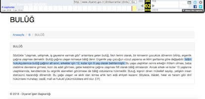 Captura de tela de uma cópia de cache da polêmica entrada do Dicionário de Conceitos Religiosos da Diyanet da Turquia, que afirma que a puberdade começa aos 12 anos nos meninos e aos 9 nas meninas (grifado) e que a partir dessa idade podem se casar e a mulher engravidar.