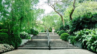 El jardín botánico de Singapur.