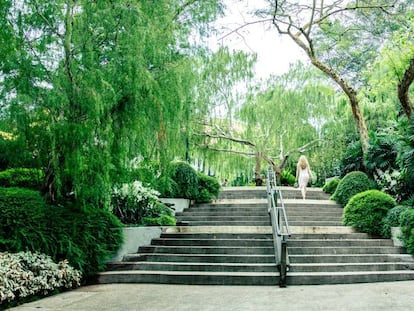 El jardín botánico de Singapur. 