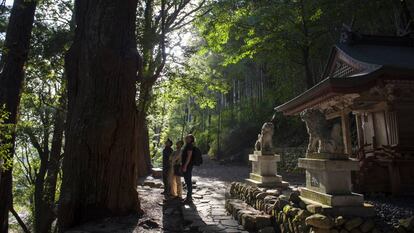 Senderistas en el camino de Kumano Kodō, en la Península de Kii (Japón).