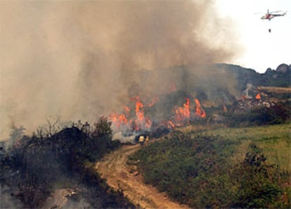 Incendio en Carballeda de Avia.