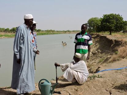 Estos terrenos de Amnaback están a unos 10 kilómetros de la capital de Chad, Yamena, y a orillas del rio Logone, que hace de frontera natural con Senegal. Antes las crecidas del río generaban problemas e inundaban las tierras. Ahora, con la canalización y construcción de acequias, aprovechan el agua para riego evitando esos problemas. Pero ahora la erosión de la orilla está poniendo en peligro los terrenos de las comunidades ribereñas.