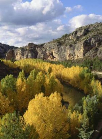 Gorges overlooking the river in Hoces del Júcar (Cuenca).