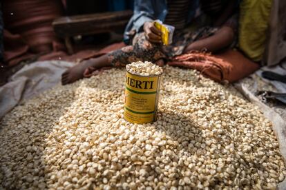 Más del 83% de la población etíope vive en zonas rurales. La mayoría de las familias dependen de su propia producción agrícola, lo que las hace extremadamente vulnerables a las sequías causadas por el cambio climático y a la desaparición paulatina de tierras fértiles.