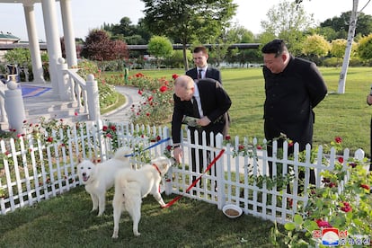 Kim muestra un par de perros de la raza 'pungsan' al presidente ruso, en un jardín de la Casa de Huéspedes Estatal Kumsusan en Pyongyang, el miércoles.
