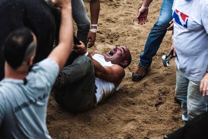 Un hombre cae el suelo tras tratar de domar a un caballo salvaje durante A Rapa das Bestas en la parroquia de Sabucedo, pedanía de la localidad pontevedresa de A Estrada. 