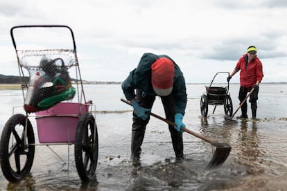 Mariscadoras de Cambados.