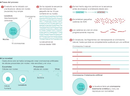 Fuente: Science.