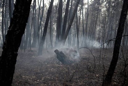 La comunidad gallega vive otra jornada de lucha contra el fuego tras anochecer con más de una decena de puntos en riesgo real para la población.