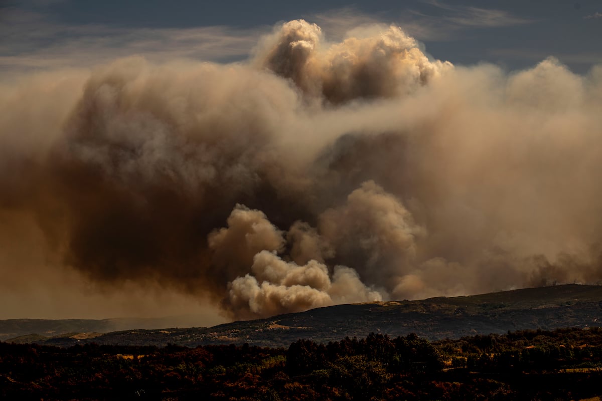 Última hora de los incendios en España, en directo | El incendio de Larouco amenaza áreas protegidas en los montes de O Courel en Lugo