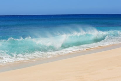 North Shore es la meca del surf. Sus gigantescas olas atraen a surferos de todo el mundo.