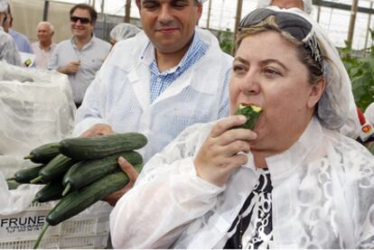 Clara Aguilera, consejera de Agricultura de la Junta de Andalucía, come un pepino ecologico en un invernadero afectado por la crisis alimentaria que está situado en la localidad de Pechina, en Almería, y que le vende toda la producción a la empresa malagueña Frunet.