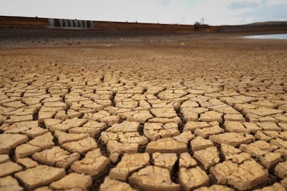 Dry, yellow soil in the bed of the Milluni dam on November 21.