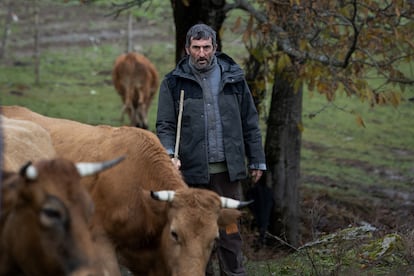 Luis Zahera en un fotograma de 'As Bestas' de Rodrigo Sorogoyen.