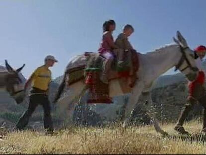 Rutas turísticas en burro para salir de la crisis