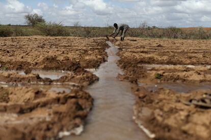 Un granjero trabaja en el campo cerca de Botor, en Somaliland. Las familias temen por su supervivencia después de varias temporadas sucesivas de lluvias pobres, agravadas por el fenómeno de El Niño en esta zona del África oriental.