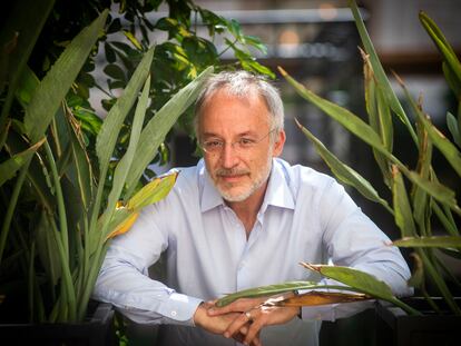 El científico italiano Stefano Mancuso, en el Centre de Cultura Contemporània de Barcelona (CCCB) este 7 de julio.