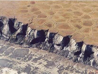 Capa de <i>permafrost</i> en el suelo siberiano.