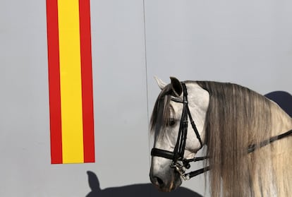 Un caballo de pura raza española es visto durante la Feria Internacional de Caballos de SICAB.