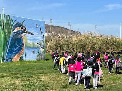 El inicio del recorrido por la primera fase de renaturalización del río Besòs