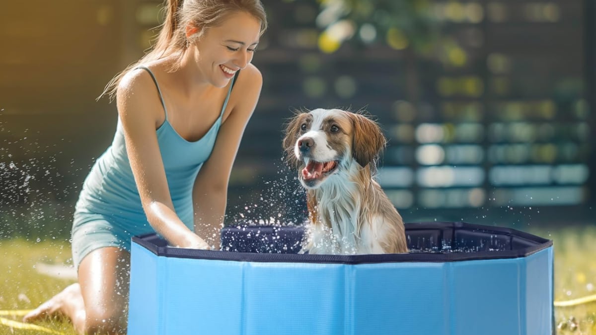 Cómo mantener a tu mascota fresquita con 3 piscinas que se adaptan a cada tamaño