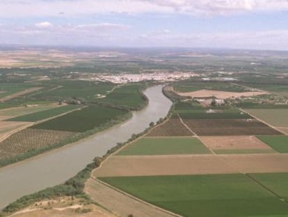 Vista aérea de los cultivos al margen del río Guadalquivir.