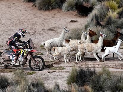 Las mejores fotos del Rally Dakar 2018