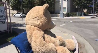 El oso de peluche en una captura del vídeo que grabó el padre.