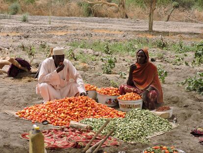 El líder comunitario y una de las socias del grupo de agricultoras prueban los tomates que se secan al sol en el terreno que estas obtuvieron de la comunidad local a un precio razonable. “Si todo sigue así, lo terminaremos de pagar en un año”, explica la presidenta.